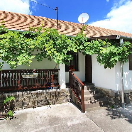 Lugas Vendeghaz Otel Felsőtold Dış mekan fotoğraf