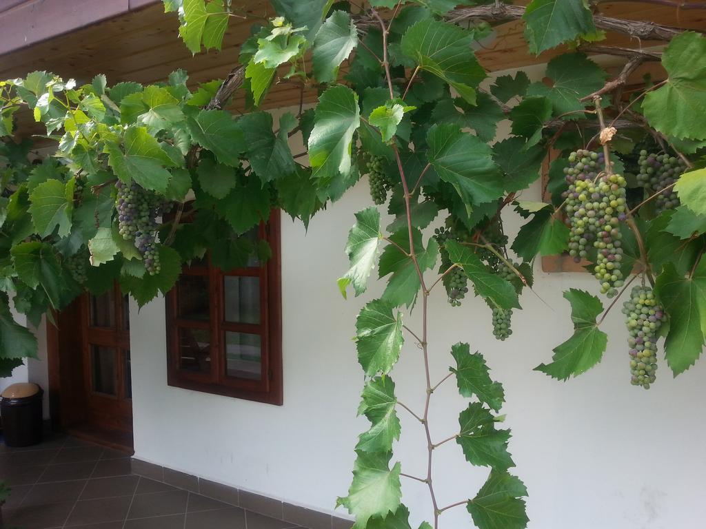 Lugas Vendeghaz Otel Felsőtold Dış mekan fotoğraf